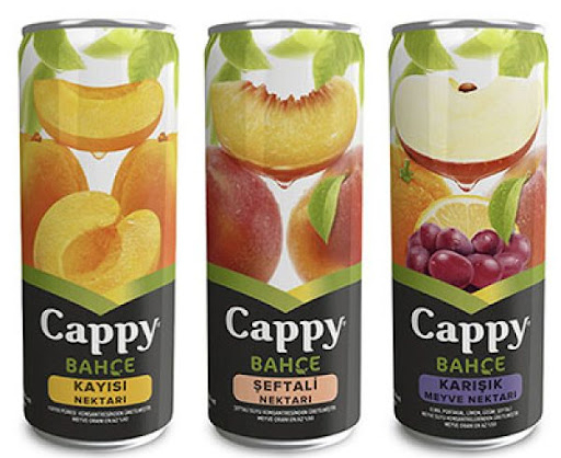 Cappy Meyvesuyu
